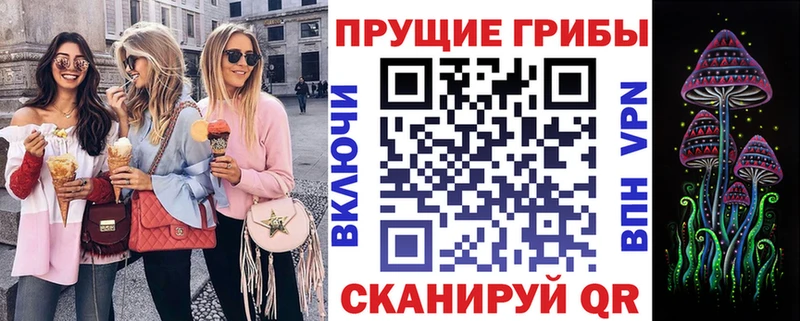 Купить  Киреевск  Псилоцибиновые грибы Psilocybine cubensis 
